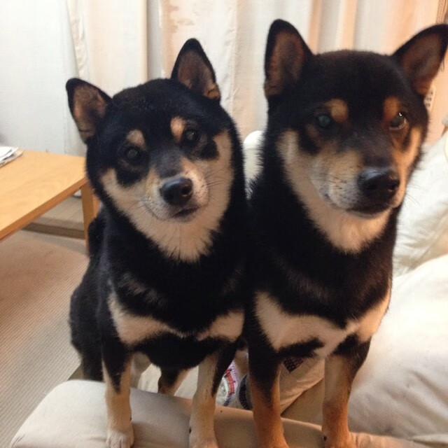 篮球俱乐部战略调整方案,篮球俱乐部发展规划