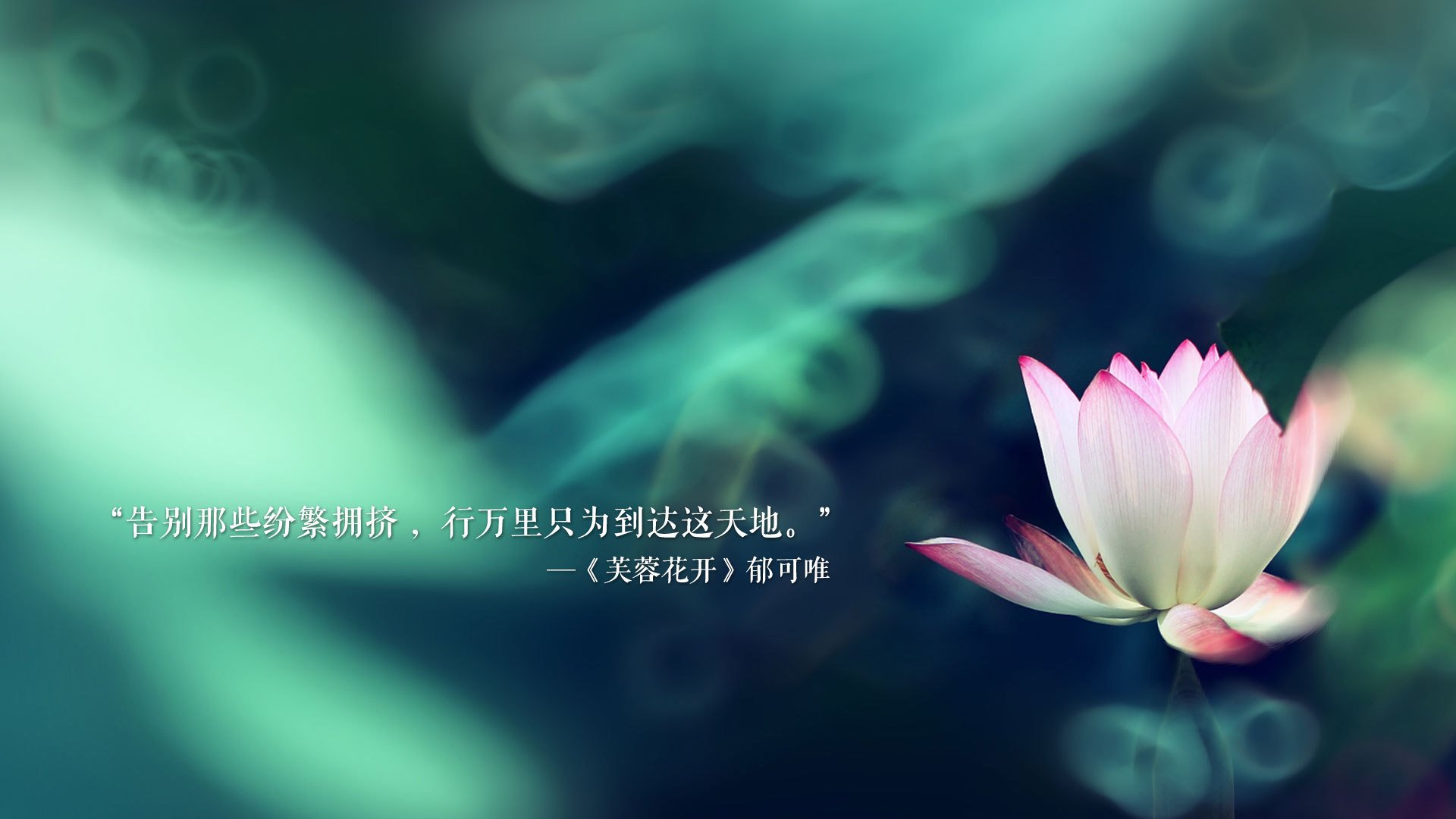 爱游戏官方网站-“青春追梦”青少年篮球公益公益跑在上海盛大举行，激励青春奋力拼搏