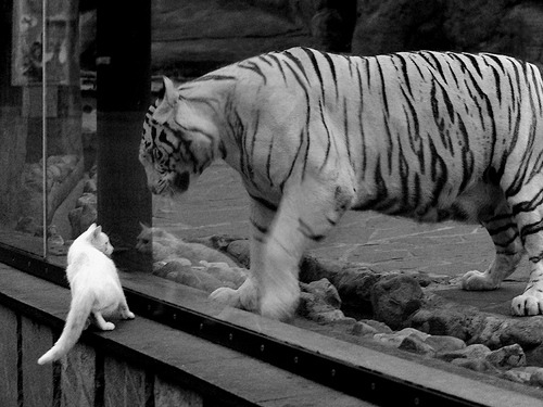 普拉提课程在高端健身俱乐部中占据重要地位,普拉提培训的课程介绍