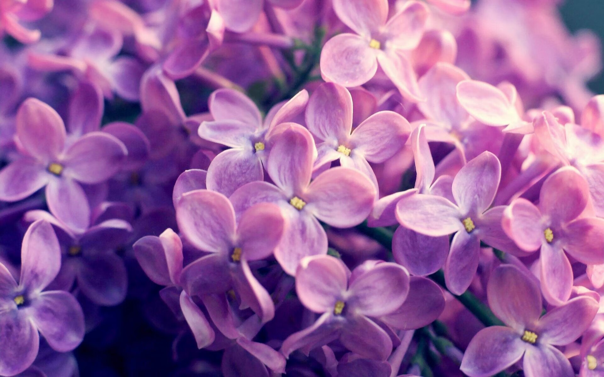 青训球员体能训练是否跟得上国际标准,青训球员的定义