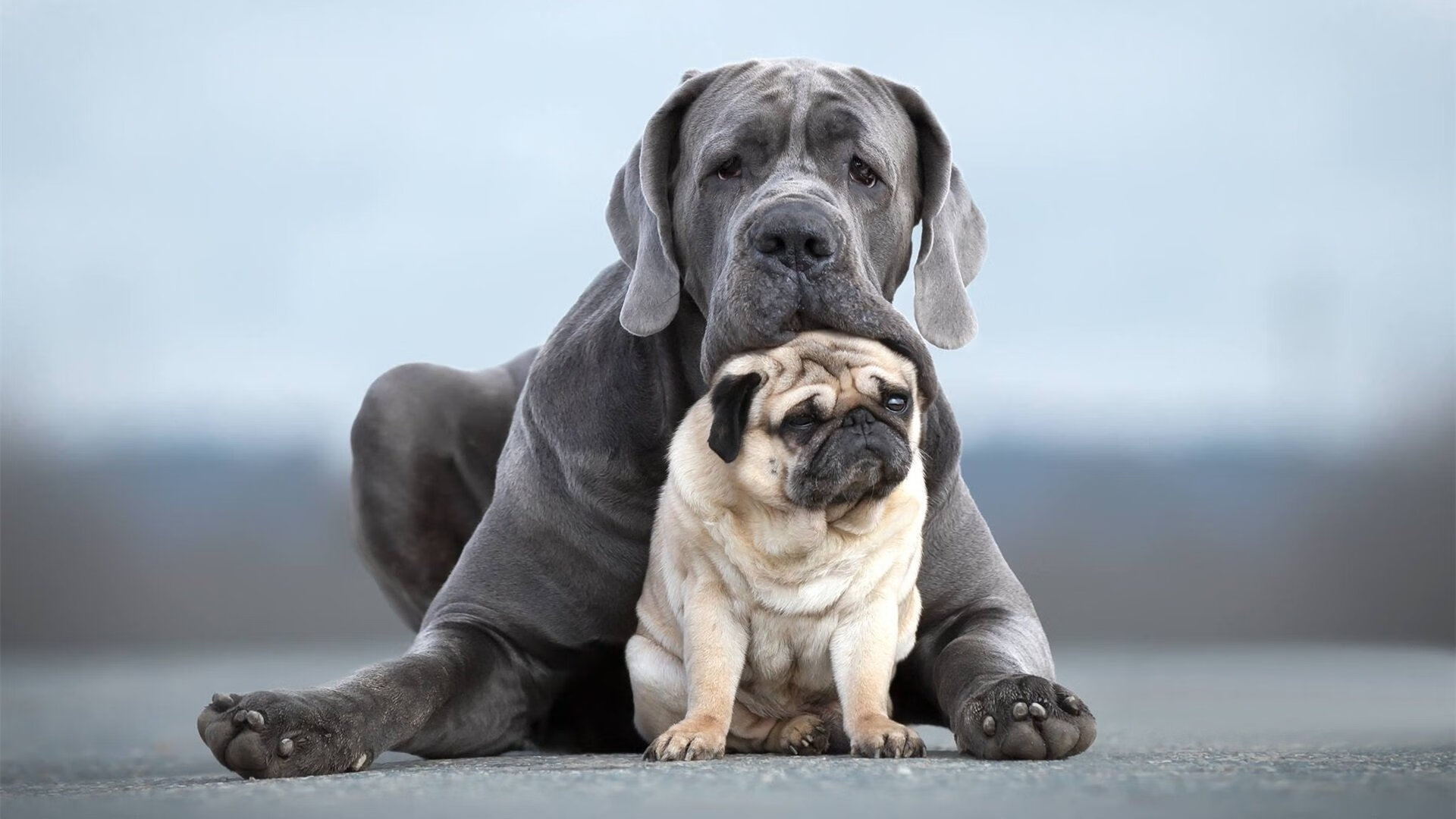 爱游戏体育app-韦康比反击一击致命，切利球场力求保级，韦康vico