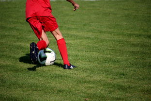 爱游戏体育官方网站-意甲裁判语义辅助判罚系统提升比赛公平性研究，意甲裁判球衣赞助商