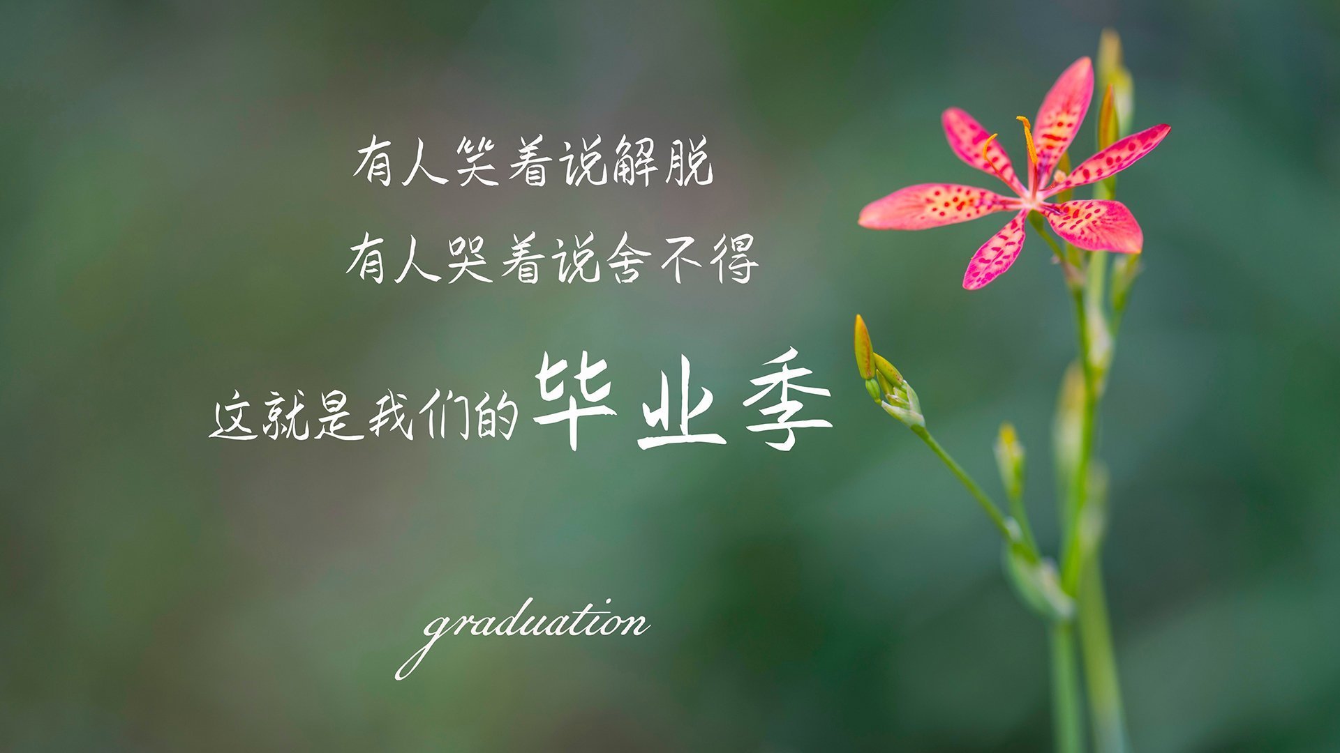 “台球：天府校区赛场成观众瞩目的竞技焦点”