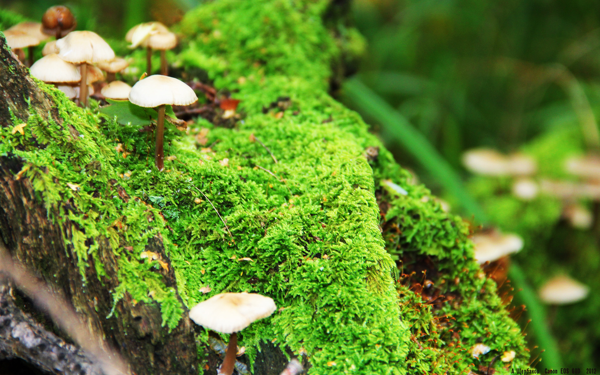 中国女篮紧盯国际赛场新趋势，中国女篮的消息