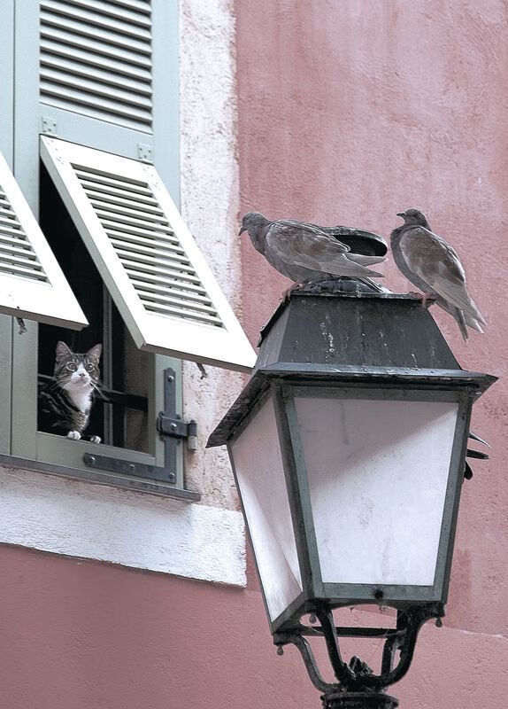 体能与技术动作效率数据关系,体能与运动技能的关系