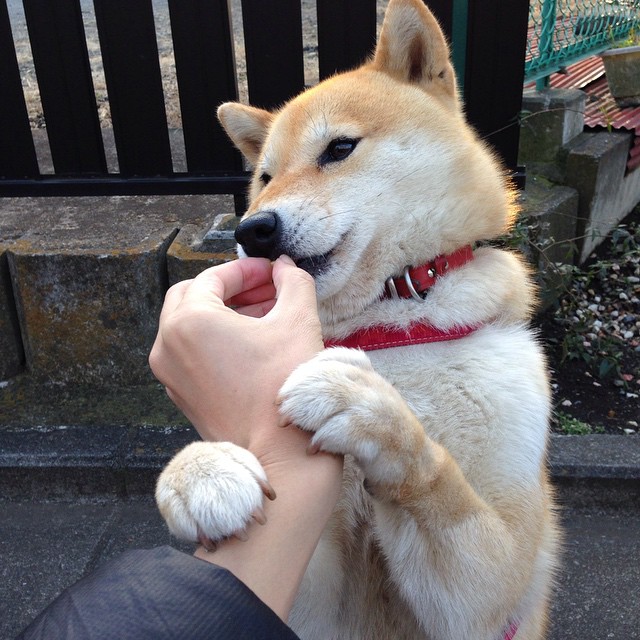 冬季极限运动公开课走进中学课堂,极限运动欣赏课有感