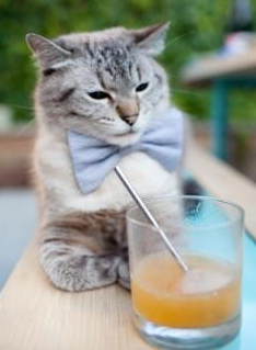 爱游戏官方网站-博卡边路突破有限，缺乏战术纵深，博卡博克