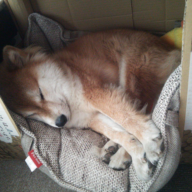 爱游戏体育-深圳领航队抓住转换机会迅速打开局面，深圳领航科技有限责任公司