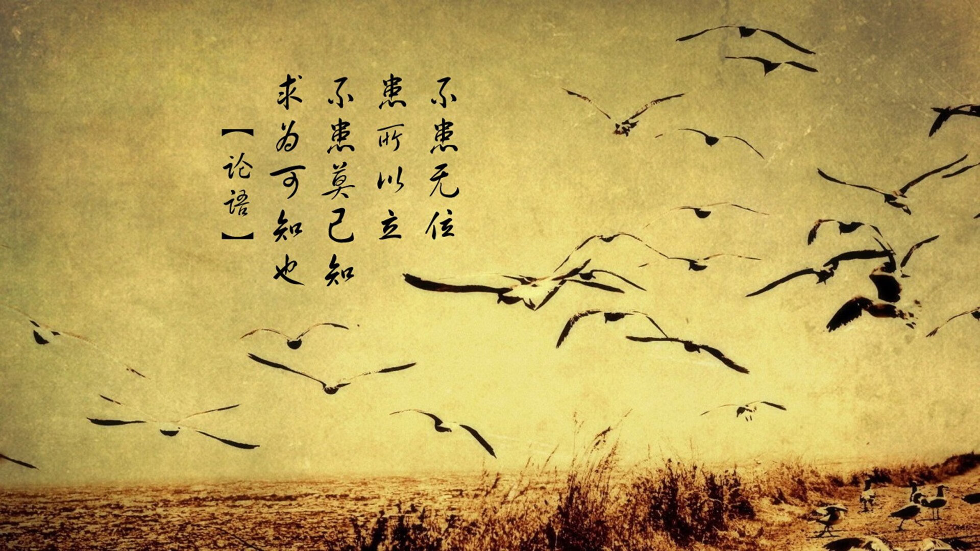 爱游戏中国官方网站平台-连胜终结后，球队表示将认真总结问题。，连胜结束