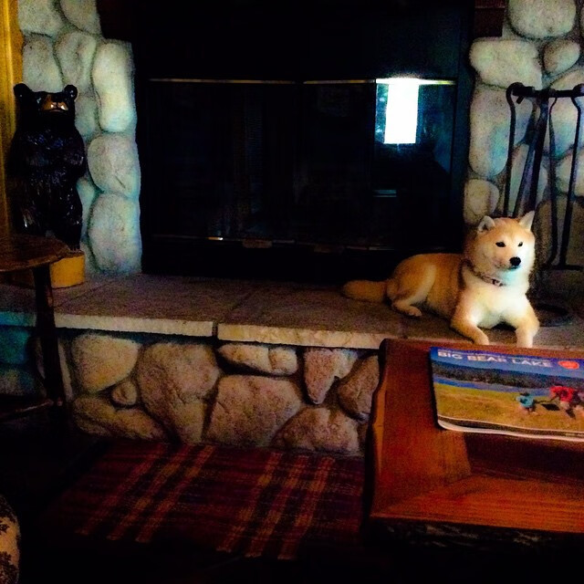 青少年田径混合接力赛赛制首次试水成功,田径混合接力赛的顺序