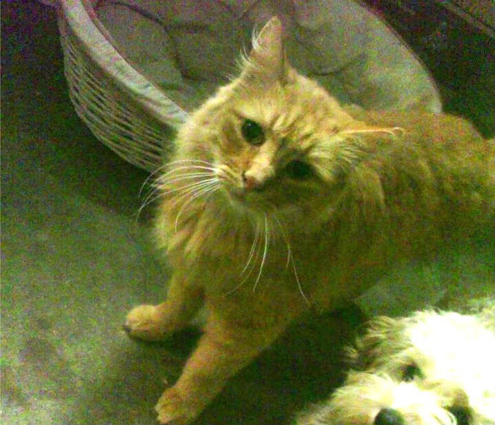 女子乒乓球队封闭训练取得积极成果,女子乒乓球团